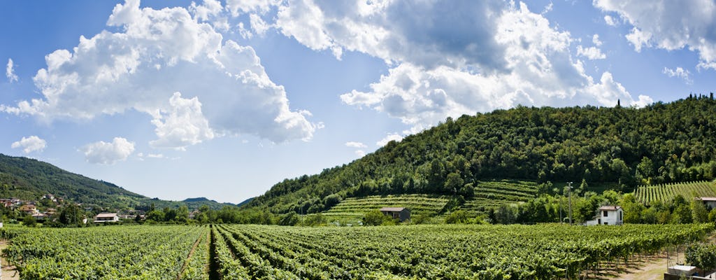 Tour a piedi dei vigneti della Franciacorta e della fattoria con pranzo in minivan privato da Milano