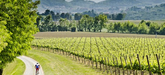 Tour in bicicletta della Franciacorta con pranzo e visita di una cantina in Minivan privato da Milano o Verona Tour in bicicletta della Franciacorta con pranzo e visita di una cantina in Minivan privato da Milano o Verona