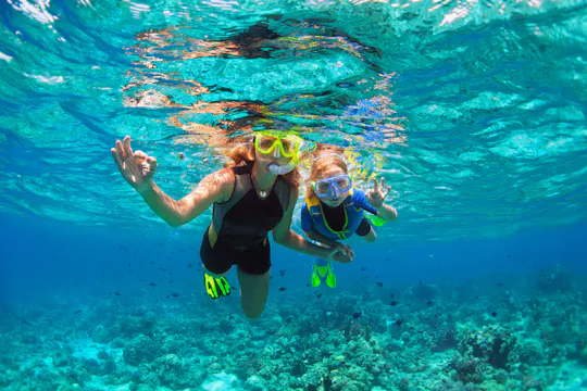 Palm Pleasure catamaran middag snorkeltocht