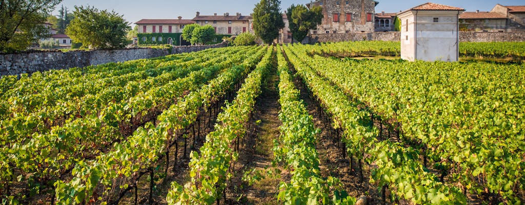 Passeio de luxo em Franciacorta e Monte Isola em minivan particular