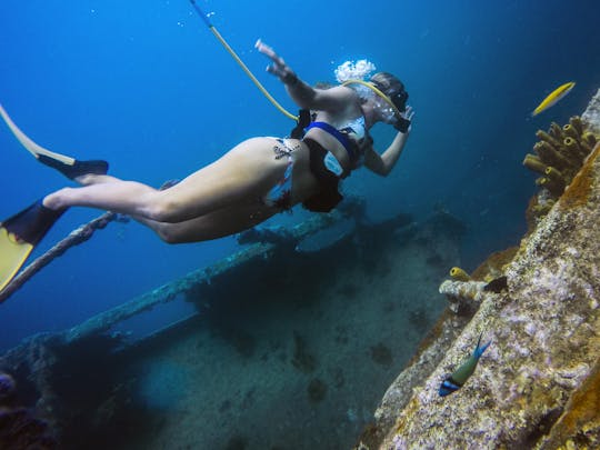 Après-midi de plongée sous-marine à Aruba