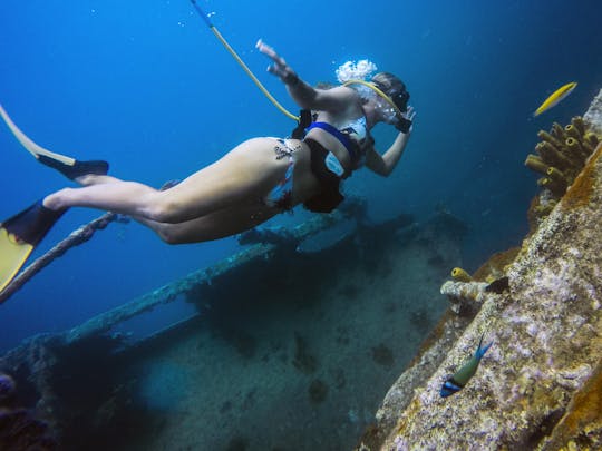 Snuba excursão à tarde em Aruba