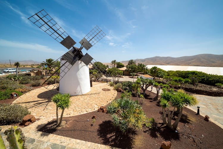 Fuerteventura Villages & Food Tour