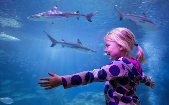 Ingressos para o SEA LIFE Oberhausen