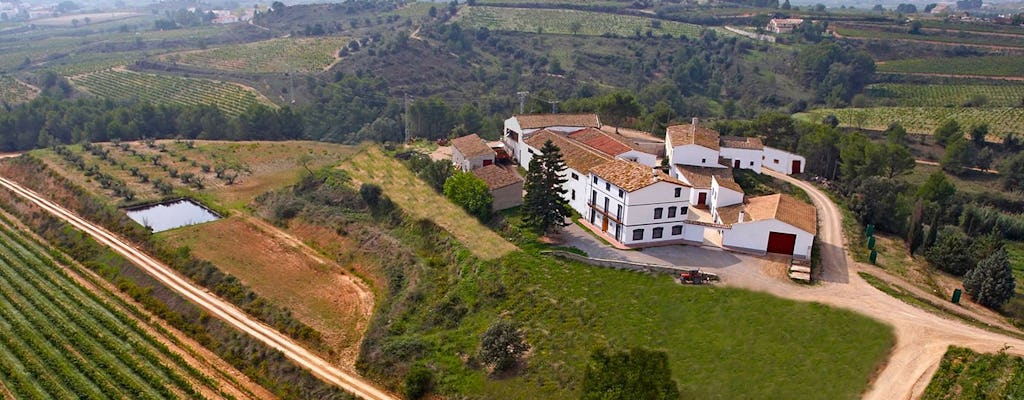 E-bike ride with lunch in a winery in the Penedes region