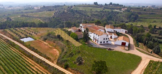 Balade en vélo électrique avec déjeuner dans un domaine viticole de la région de Penedes