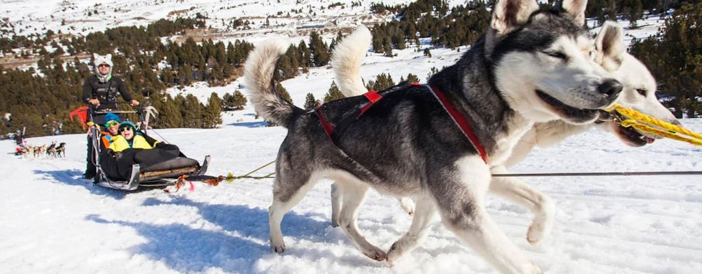 Experiencia en trineo tirado por huskies en la zona de El Tarter