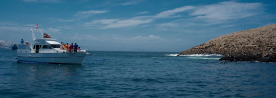 Palomino Islands Boat Tour