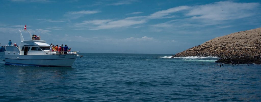 Wycieczka łodzią po wyspach Palomino