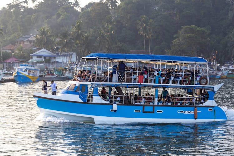 Whale watching, Yala National Park and Galle 2-day tour from Bentota