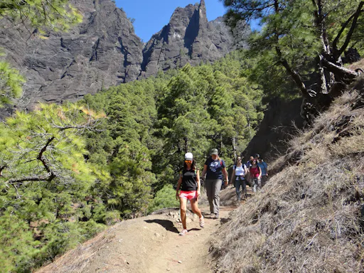 Caldera de Taburiente National Park Hiking Tour