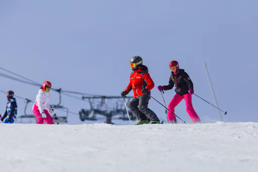 Pal Arinsal Group Ski/Snowboard Lessons