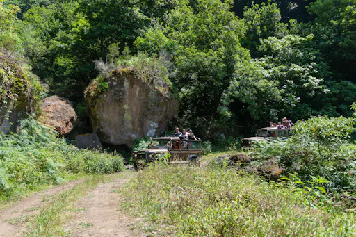 4x4 Madeira Mountain Tour & Dolphin Watching Boat