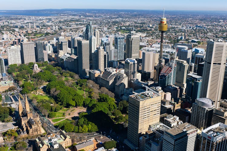 Глаз Сиднейской башни с билетами на Скайуокер Билет - 1