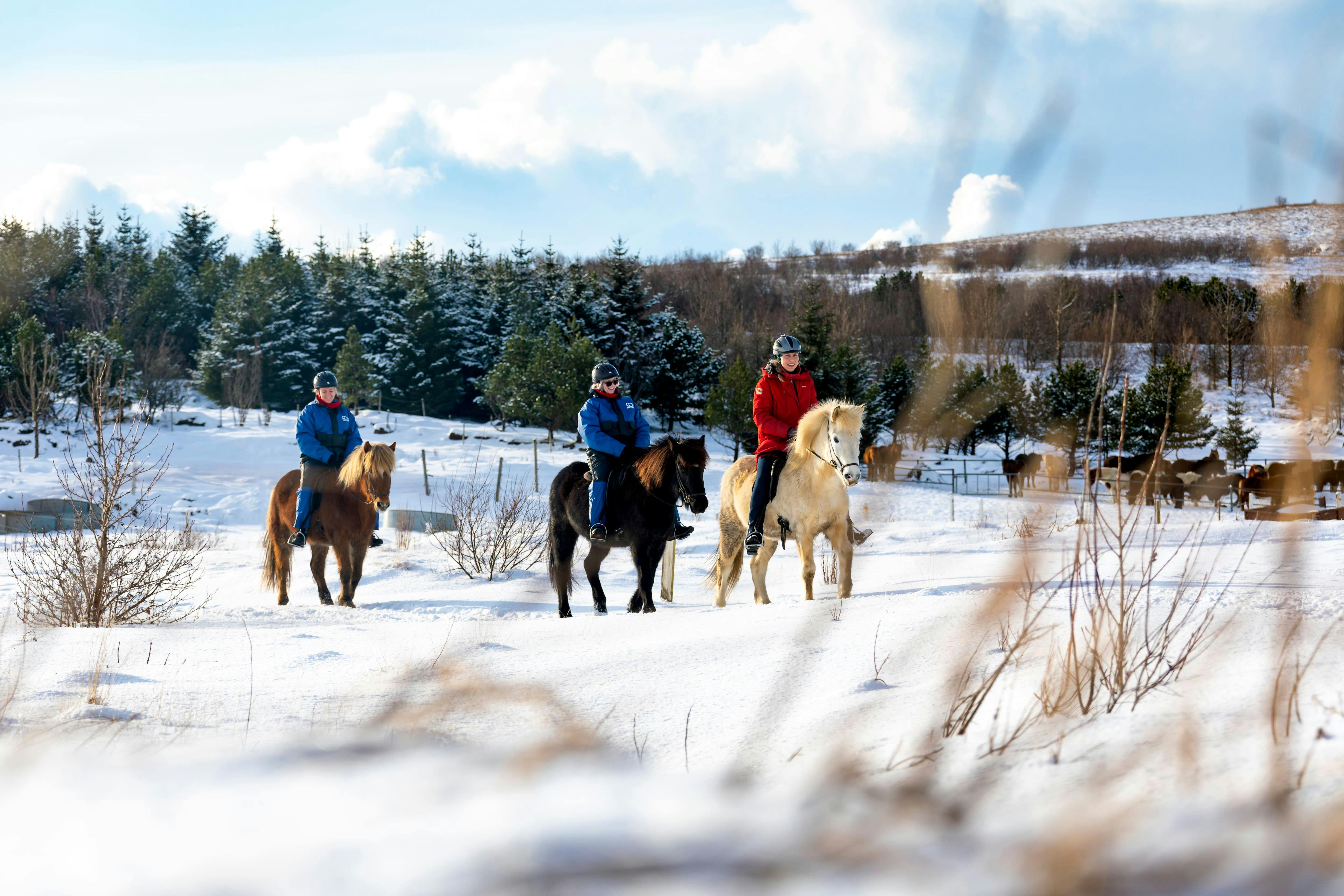 Horse Riding in Aldosa