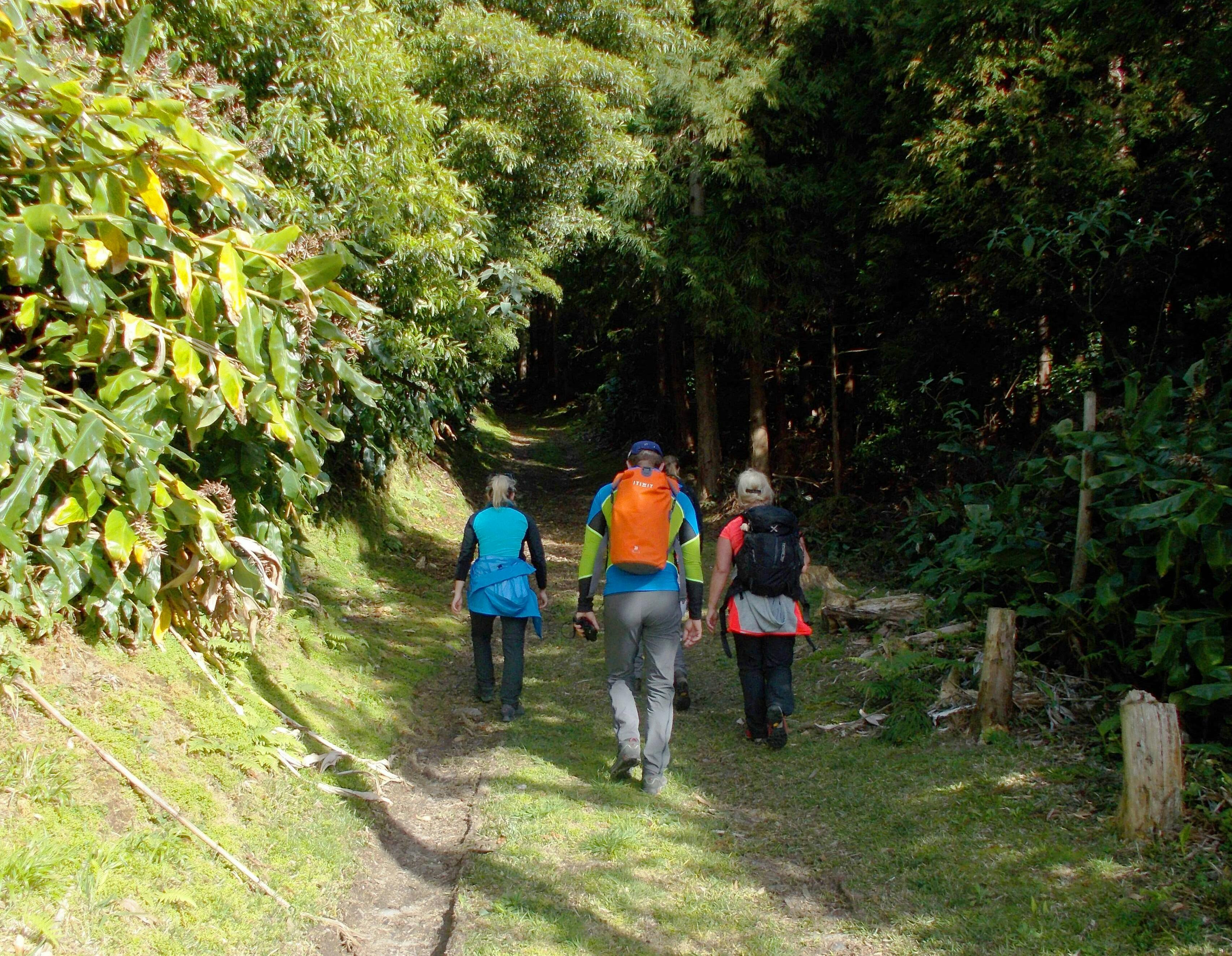 Walking Tour in Lagoa do Fogo Ticket