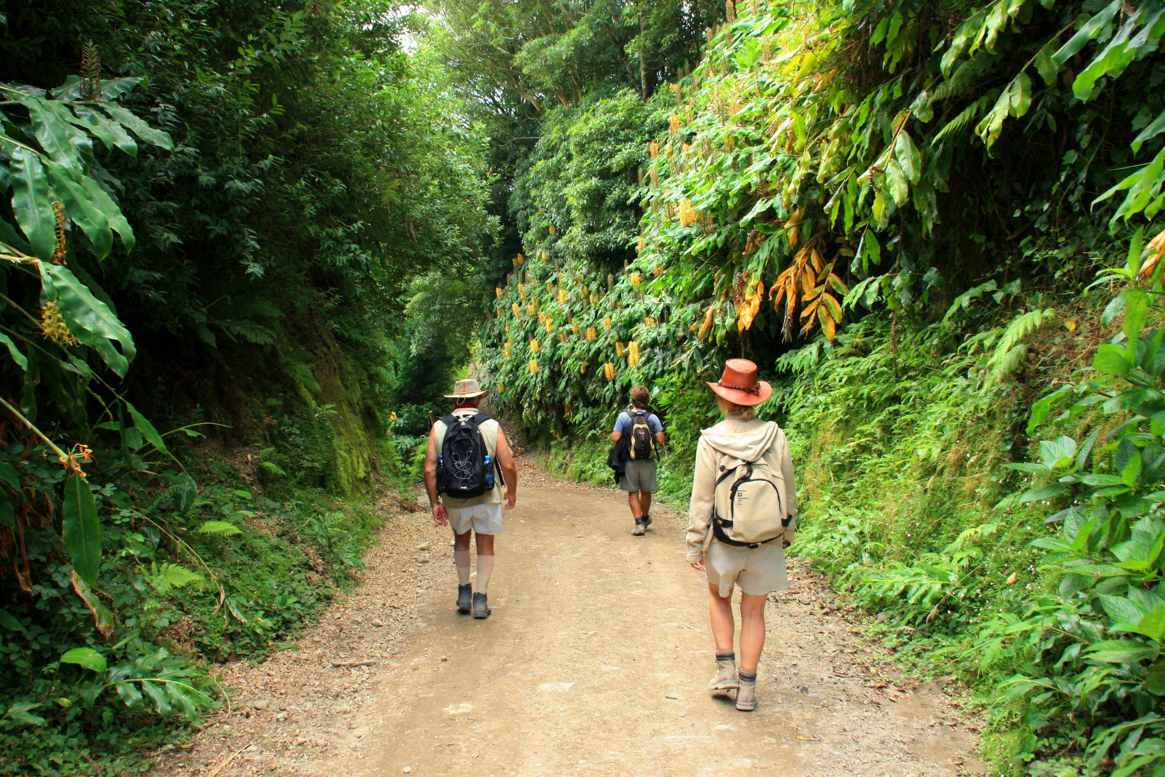 Sanguinho Walking Tour