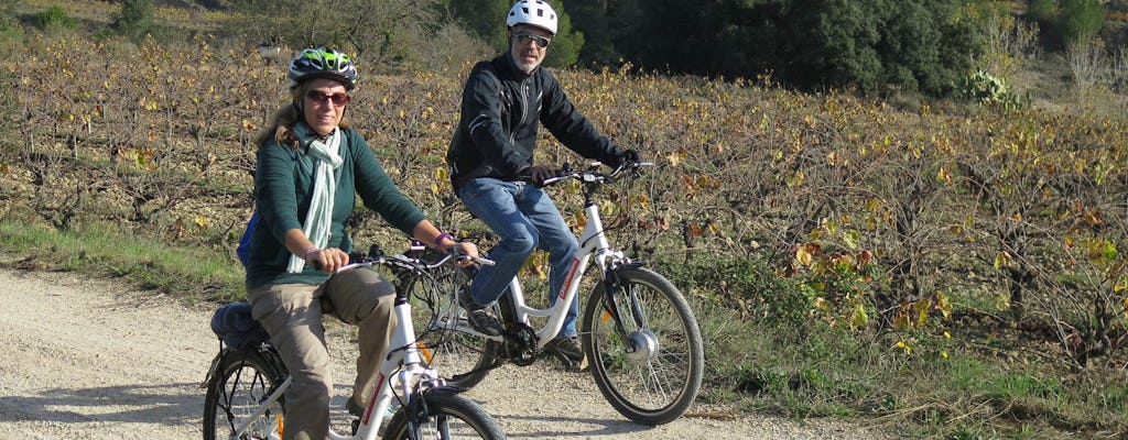 Paseo en bicicleta eléctrica y cata de vinos en la región del Penedés.
