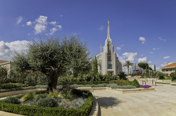 Rome tour by minivan with visit to the Rome LDS Temple