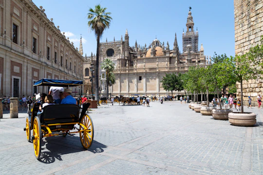 Seville City Tour & Shopping Experience