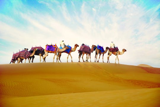 Safari mattutino privato con colazione in tenda beduina e giro in cammello