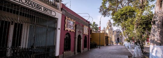 Visite privée du complexe archéologique de Pachacamac, Pantanos de Villa et Barranco