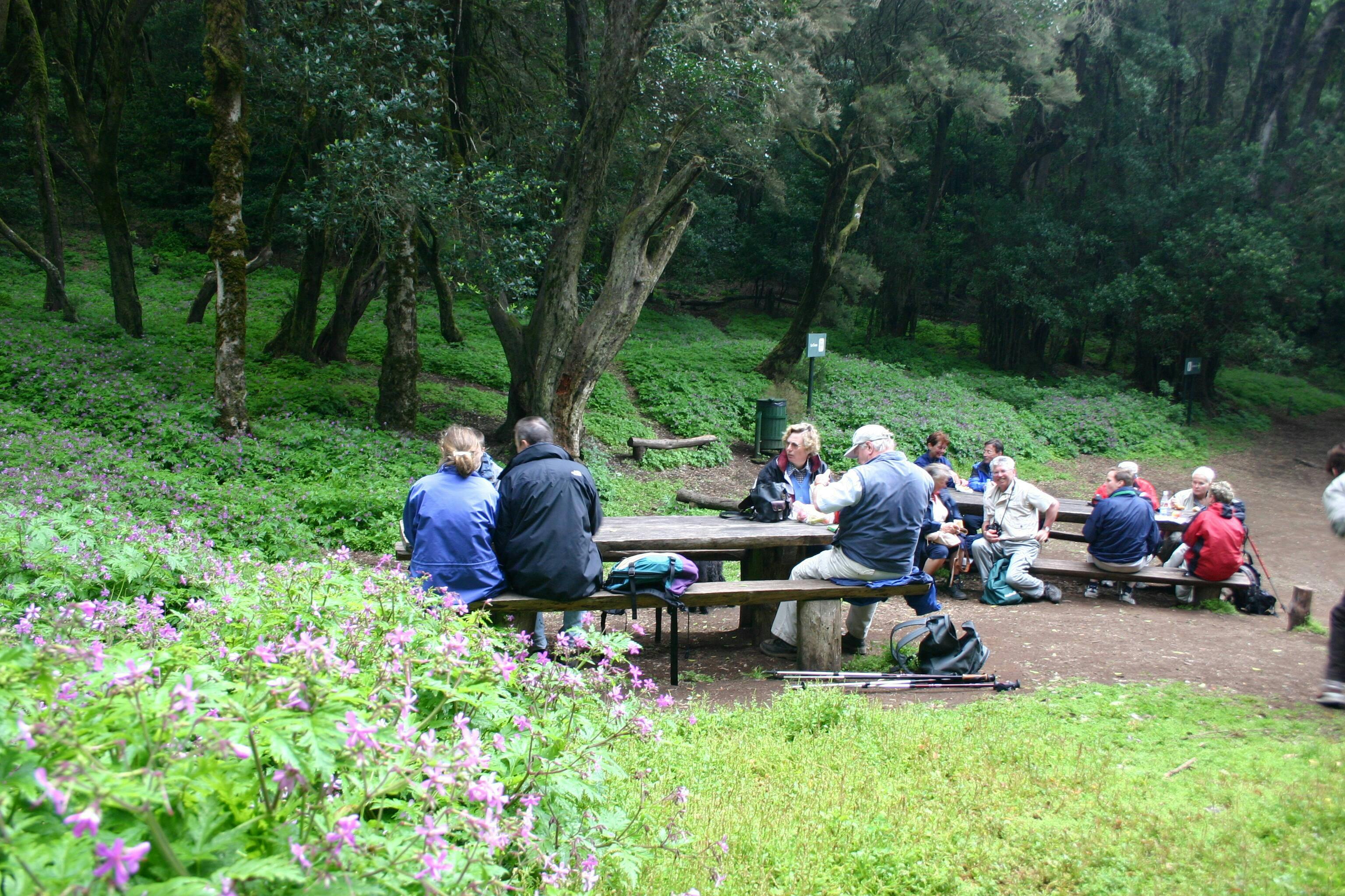 La Gomera Herb Hike