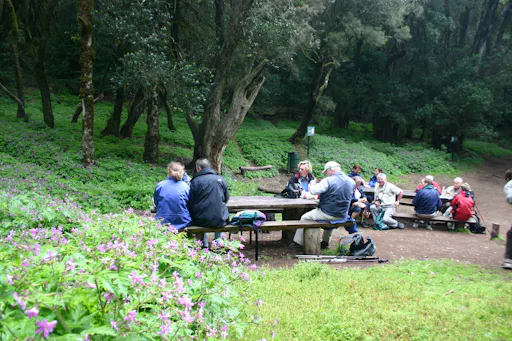 La Gomera Herb Hike