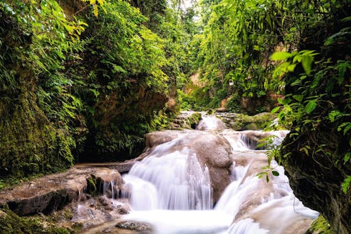 Dunn's River Falls & Blue Hole Tour