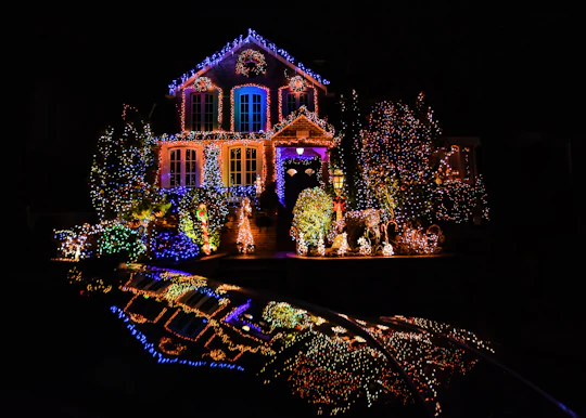 Dyker Heights Christmas Wonderland tour