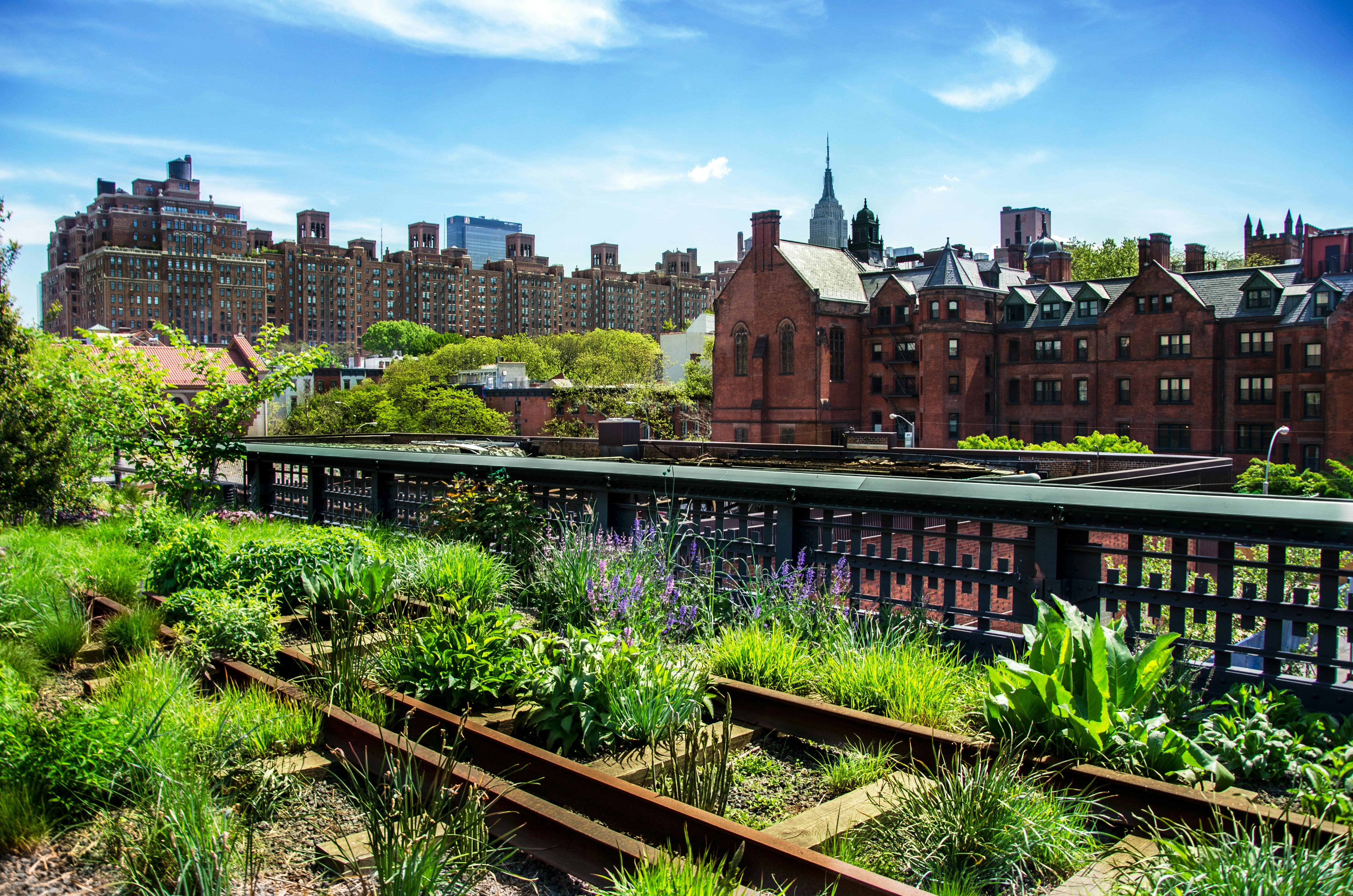 New York City High-Line und Hudson Yards Wanderung