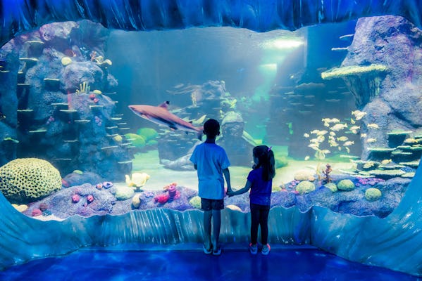 Billets pour l'aquarium Sea Life de Sydney