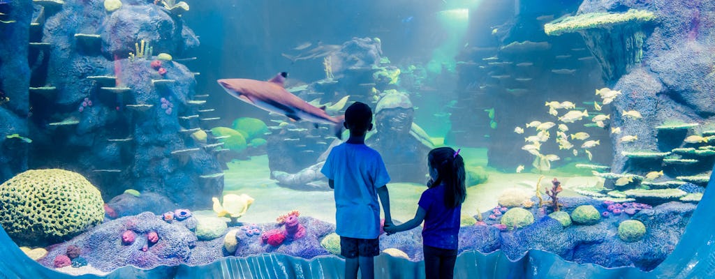 Eintrittskarten für das Sea Life Sydney Aquarium