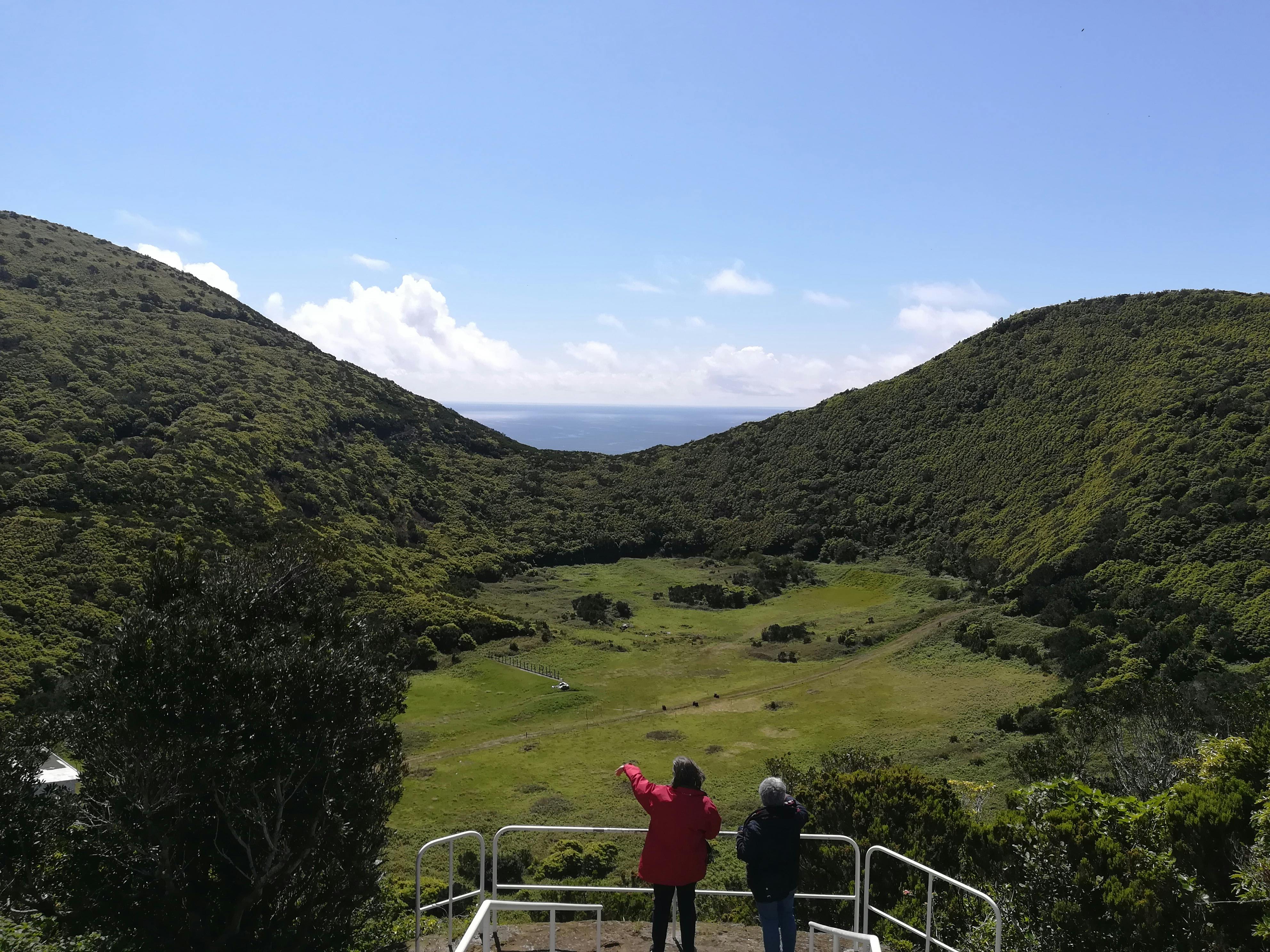 Excursion d'une demi-journée en van sur l'île de Terceira