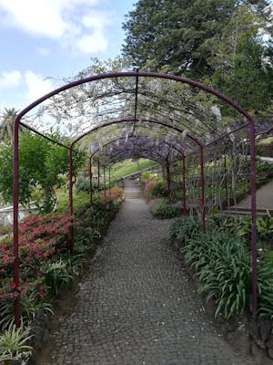 Visites de la ville à Terceira