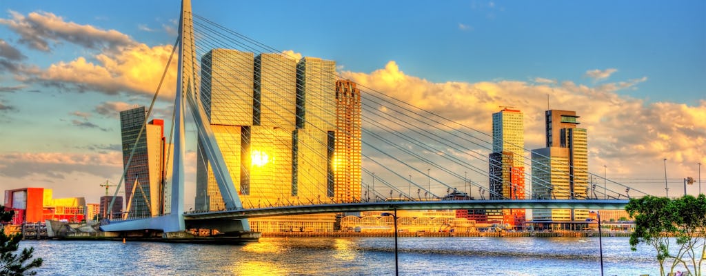 Tour privato dell'architettura di Rotterdam