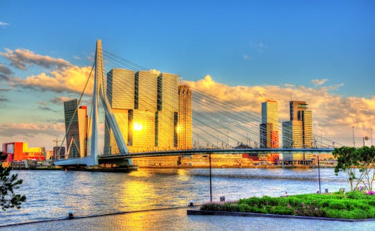 Prywatna wycieczka po architekturze Rotterdamu