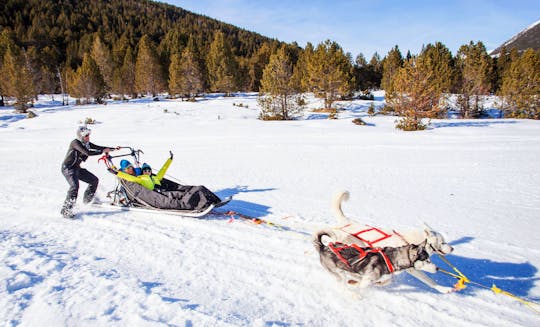 Kulig z psim zaprzęgiem w Grandvalira