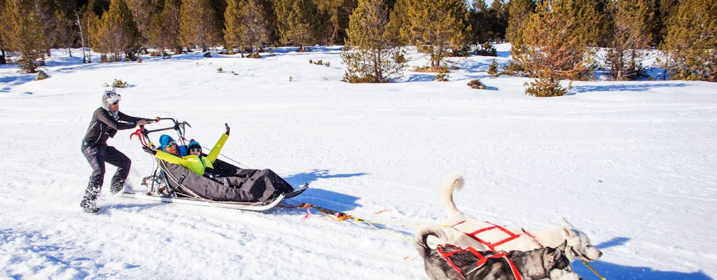 Paquete Mushing familiar en Grau Roig