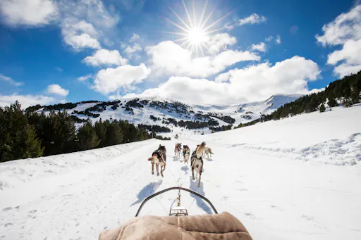 Mushing Experience in Grau Roig Grandvalira