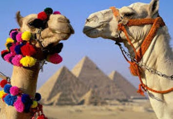Cairo : Giza Pyramids , Sphinx, Saqqara & Dahshur Full-Day Private Tour