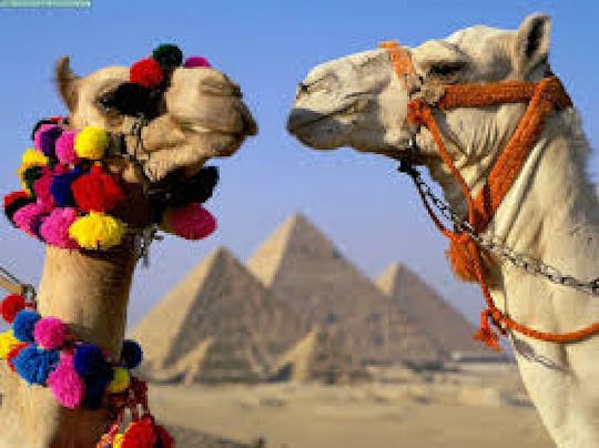 Cairo: tour privato di un giorno intero alle Piramidi di Giza, alla Sfinge, a Saqqara e a Dahshur