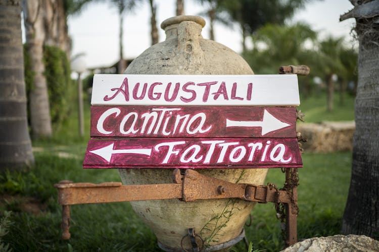 Winery tour and brunch at Bio Fattoria Augustali