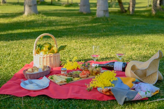 Visita in cantina e pic-nic alla Bio Fattoria Augustali