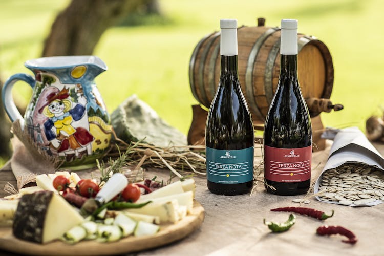 Winery tour and picnic at Bio Fattoria Augustali