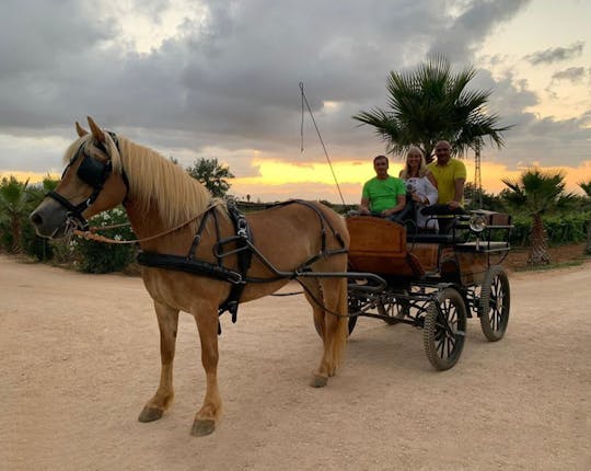 Giro in carrozza nella campagna siciliana