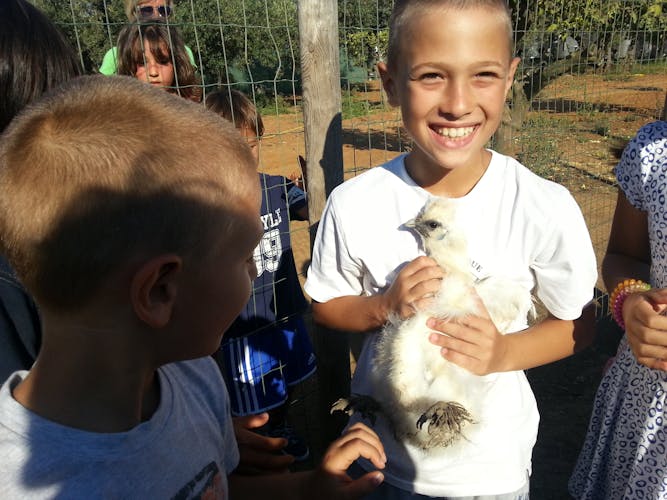 Animal farm tour and Aaromas garden at Bio Fattoria Augustali