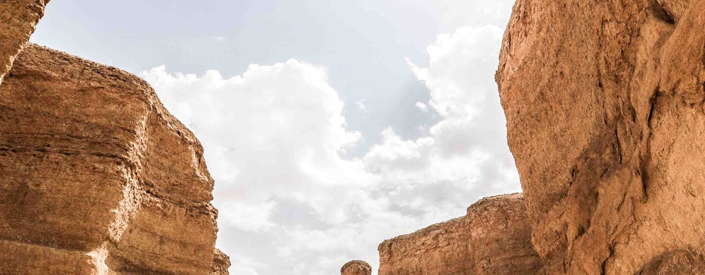 Découvrez la colline d'Al-Qara et la visite de Jawatha Al Ahsa au départ de Dammam