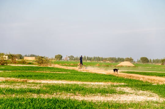 Excursão de meio dia pela vila de Amritsar