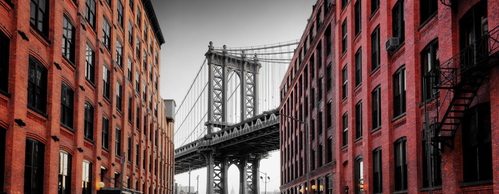 Tour pela Cidade de Contrastes de Nova York